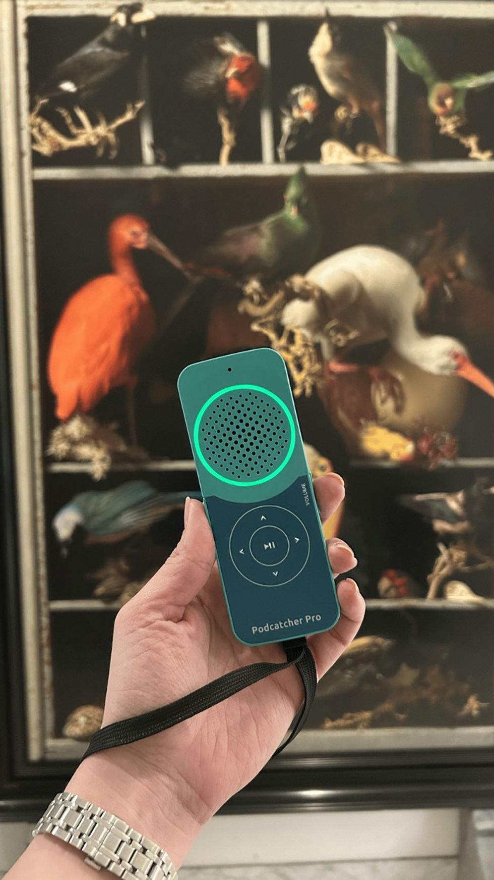 Hand holding \u200bGuide-ID\u2019s Podcatcher Pro, birds displayed in background.