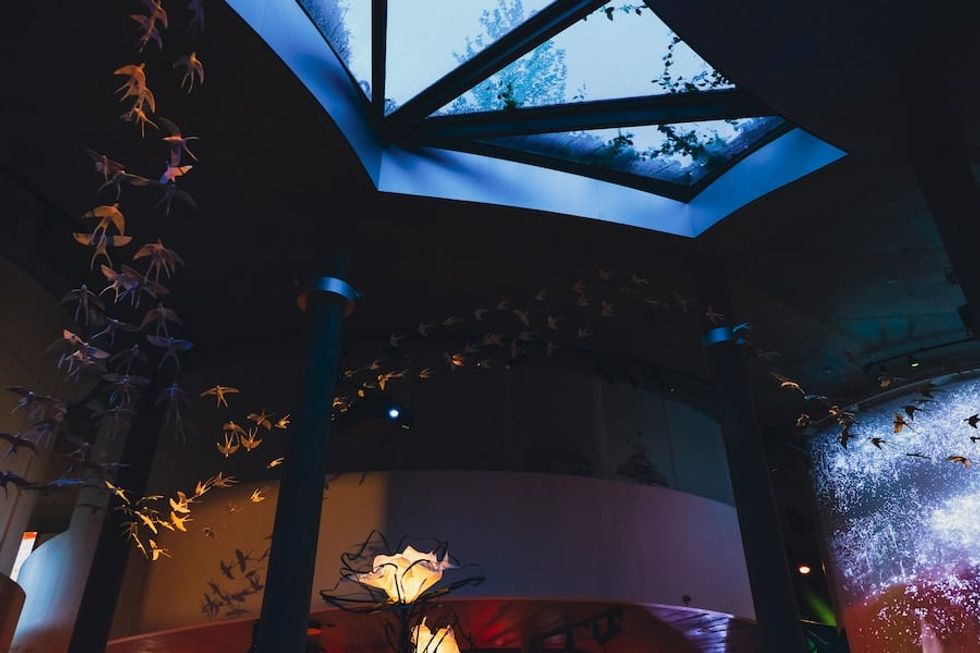 Hans Christian Andersen Museum HC Andersens House Odense