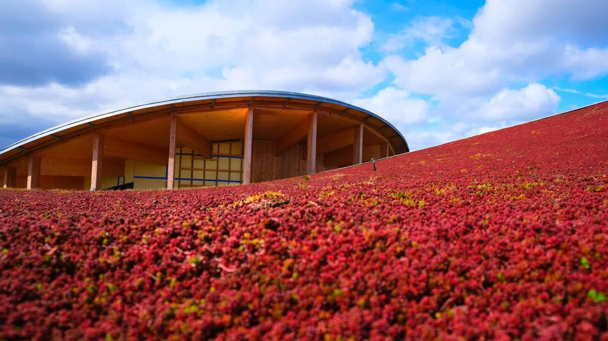 hans christian andersen museum