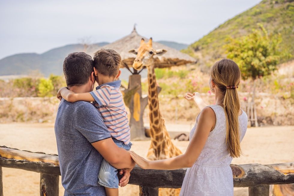 Happy mother, father and son watching and feeding giraffe in zoo. Happy family having fun with animals safari park on warm summer day