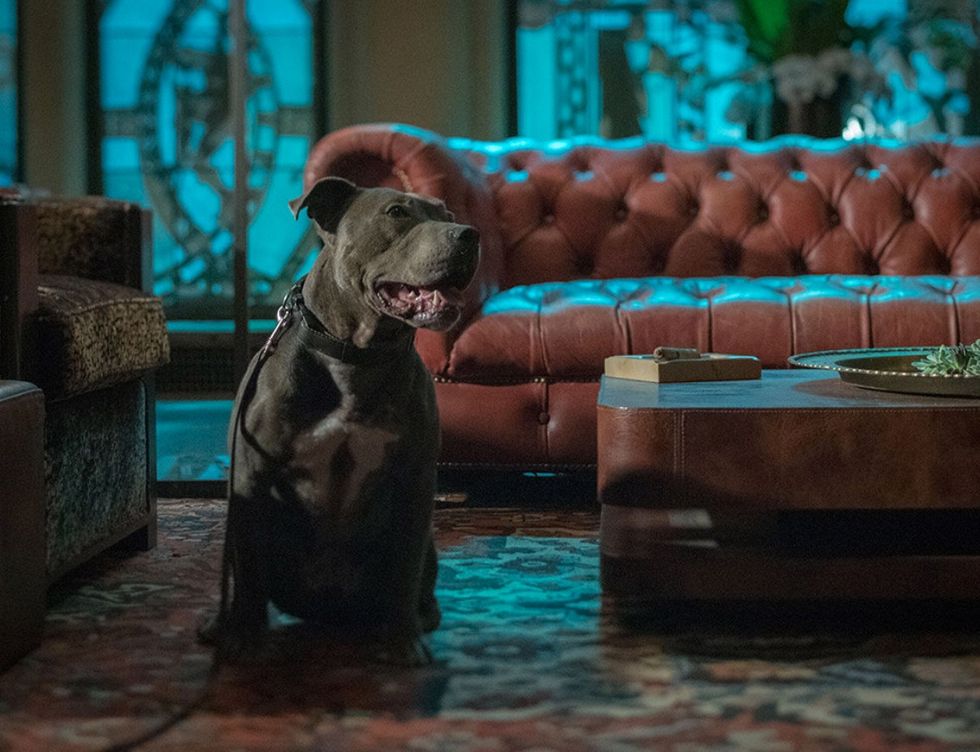 hard rock john wick experiences