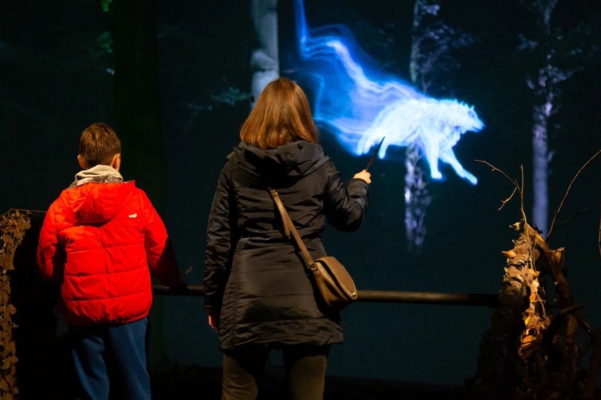 Harry Potter- A Forbidden Forest Experience thinkwell