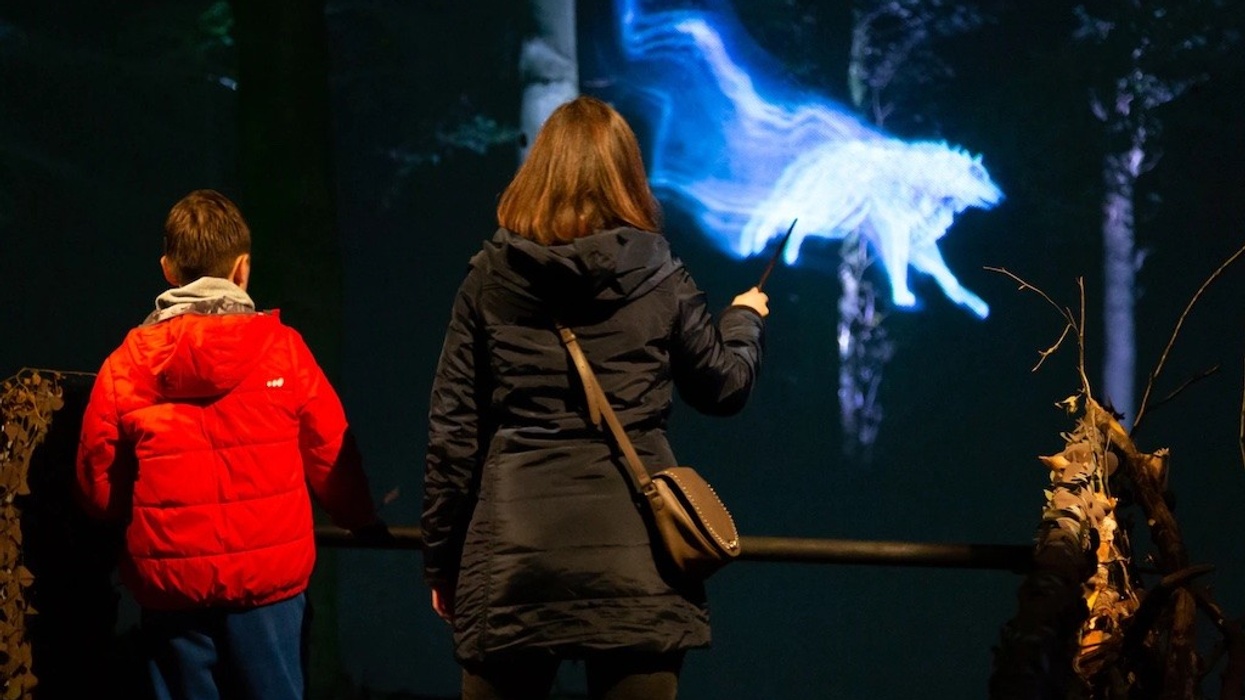 Harry Potter- A Forbidden Forest Experience thinkwell