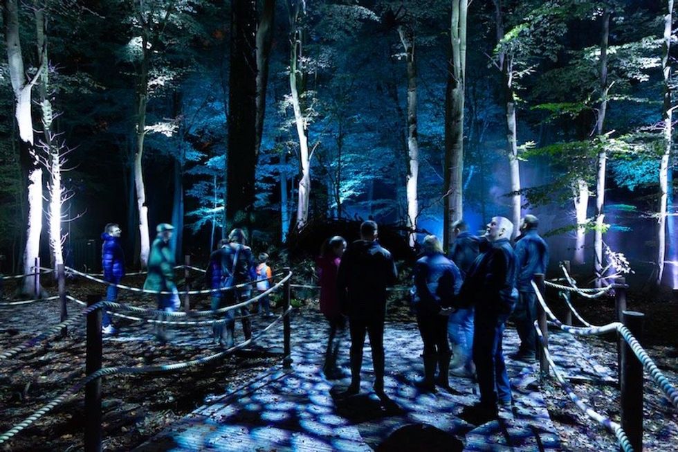 Harry Potter- A Forbidden Forest Experience thinkwell