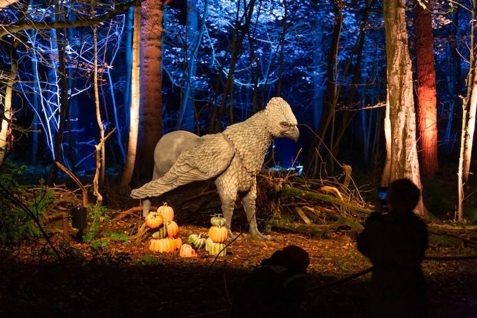 Harry Potter- A Forbidden Forest Experience thinkwell