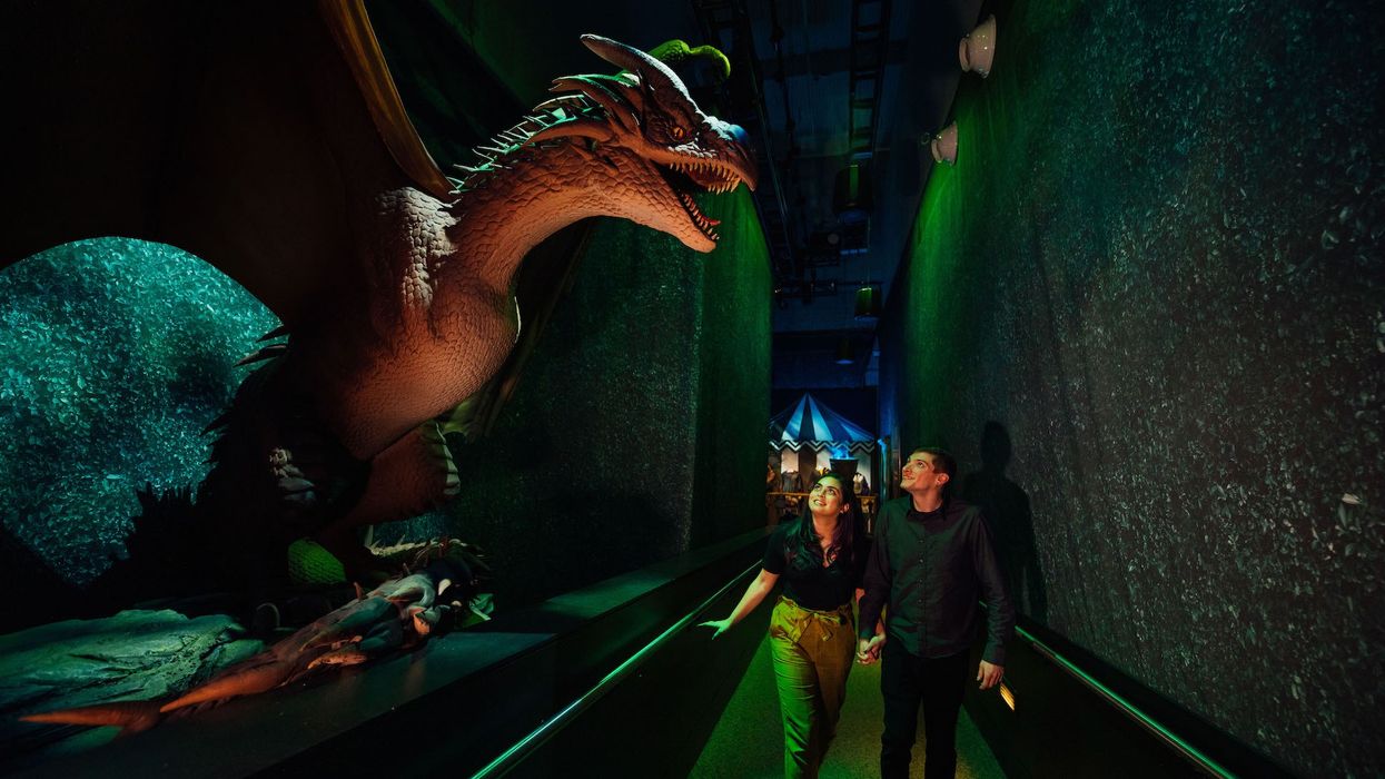Harry Potter Exhibition Imagine - dragon