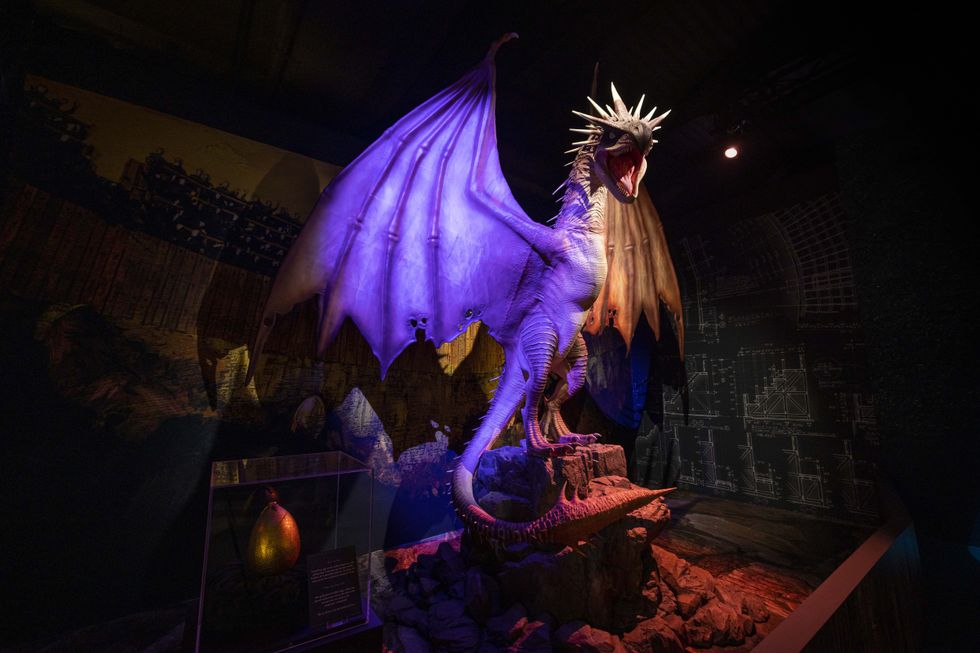 Harry Potter Exhibition