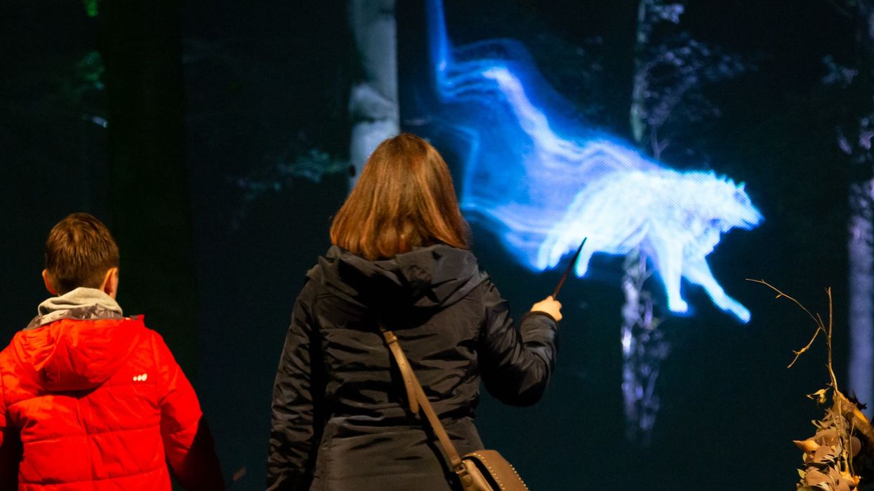 harry potter forest trail