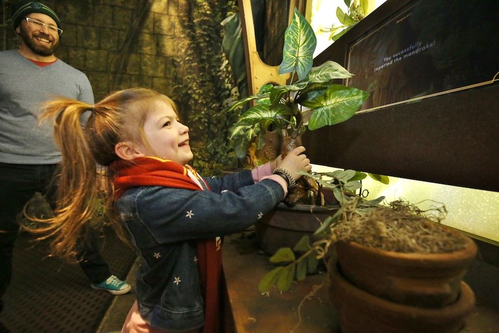 Harry Potter The Exhibition Herbology