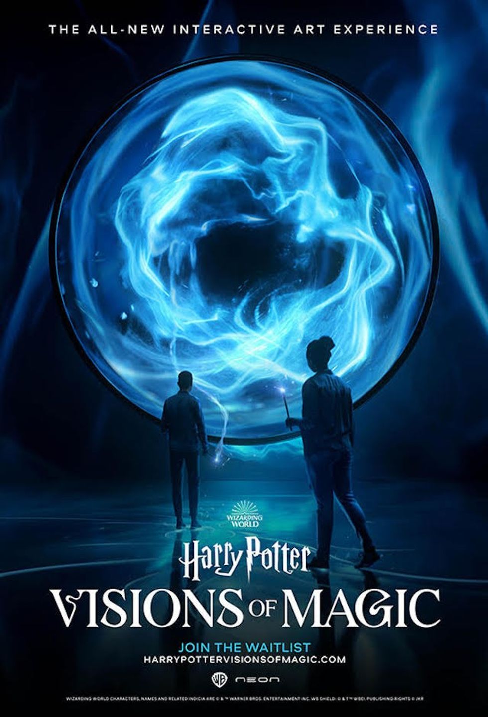 Harry Potter Visions of Magic