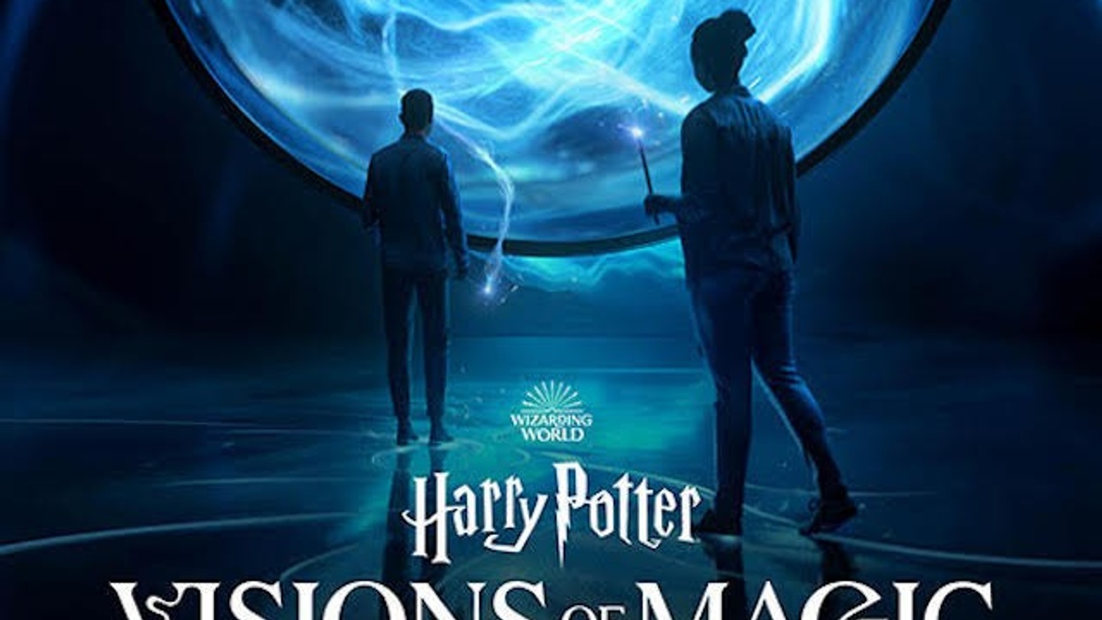 Harry Potter Visions of Magic