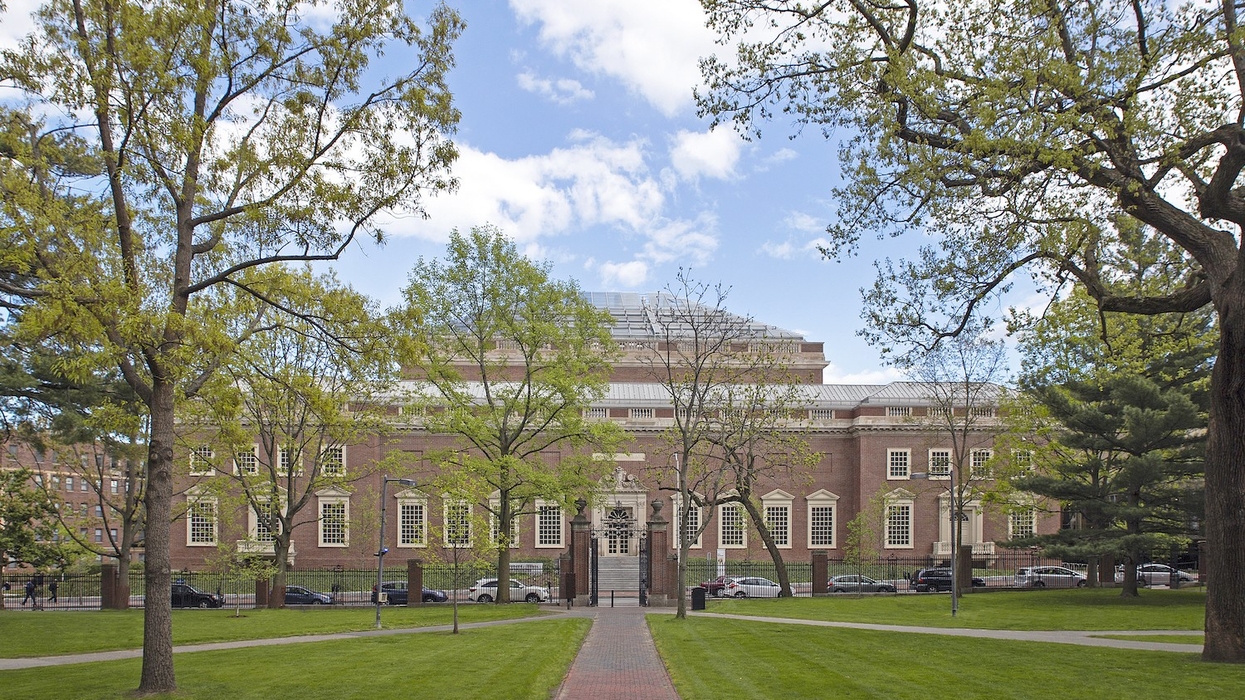 harvard art museums