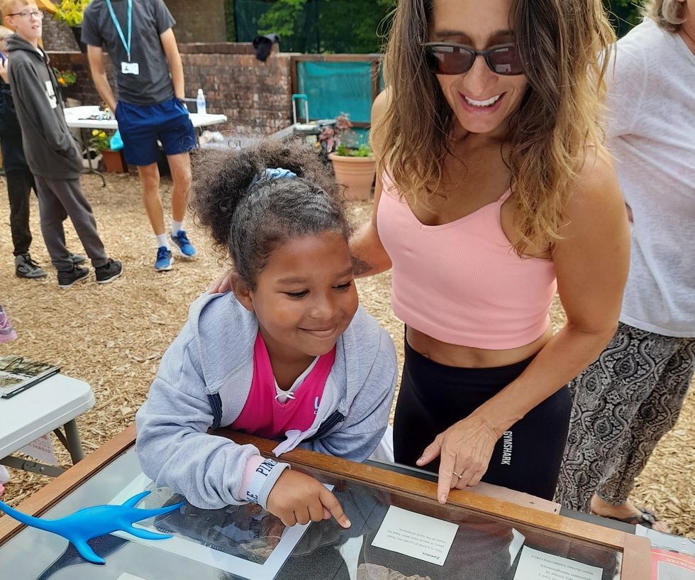 hastings museum and art gallery