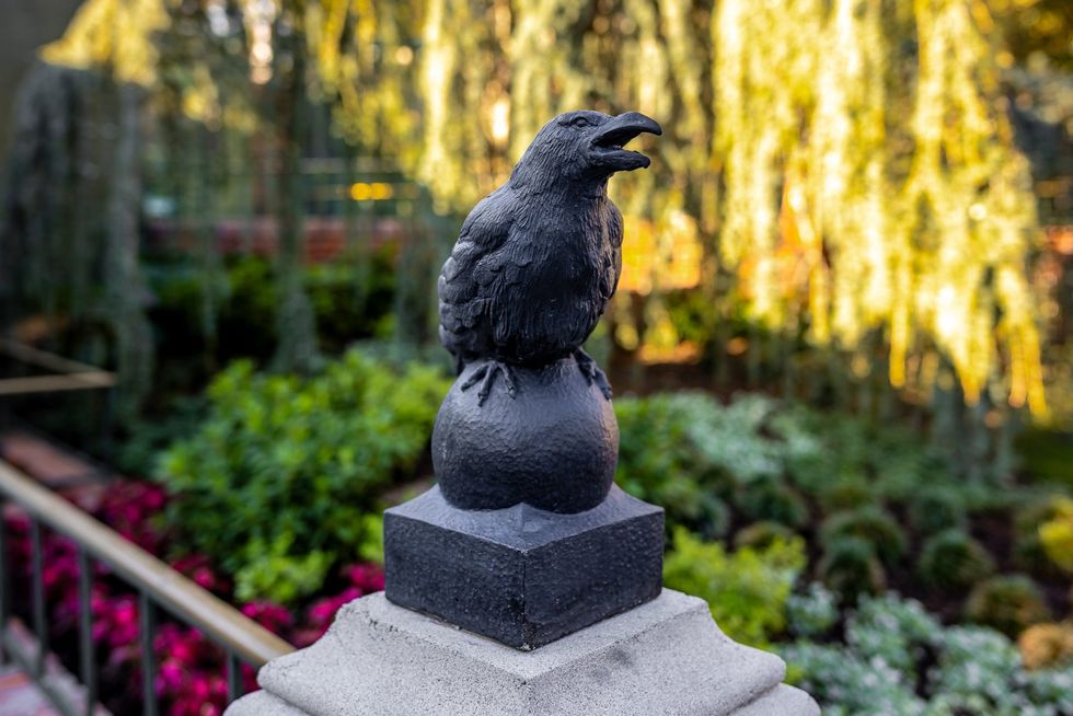 haunted mansion disneyland