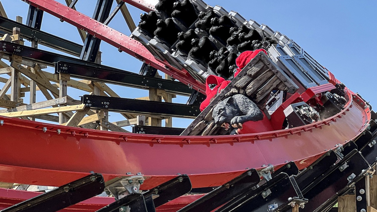 hersheypark wildcat's revenge