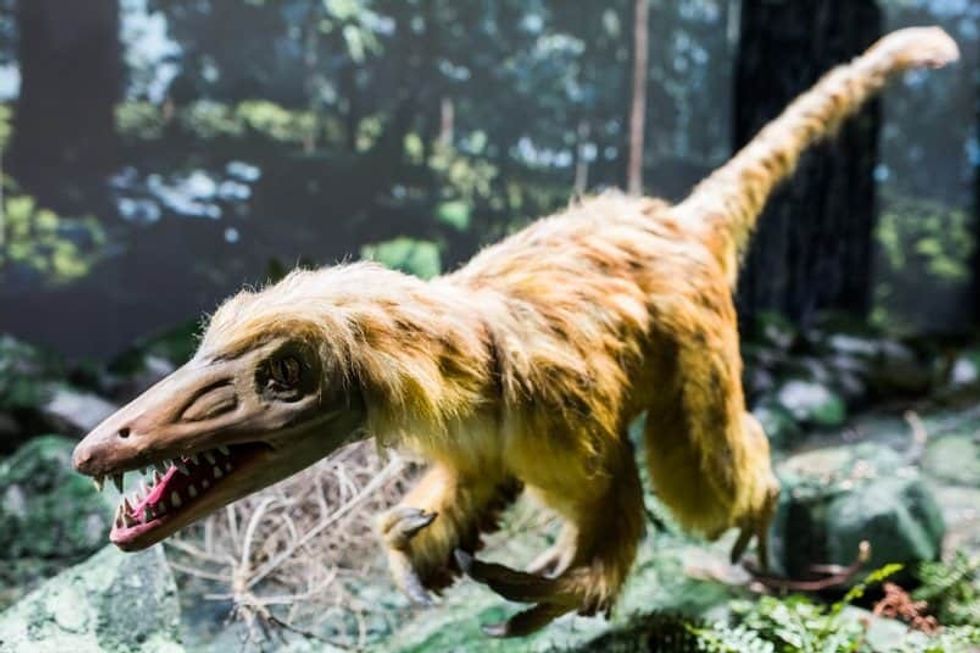 Heureka exhibitions Lappset