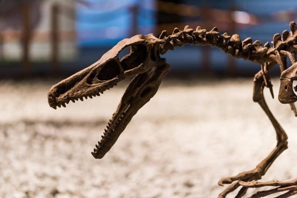 Heureka Lapsett exhibitions blooloop