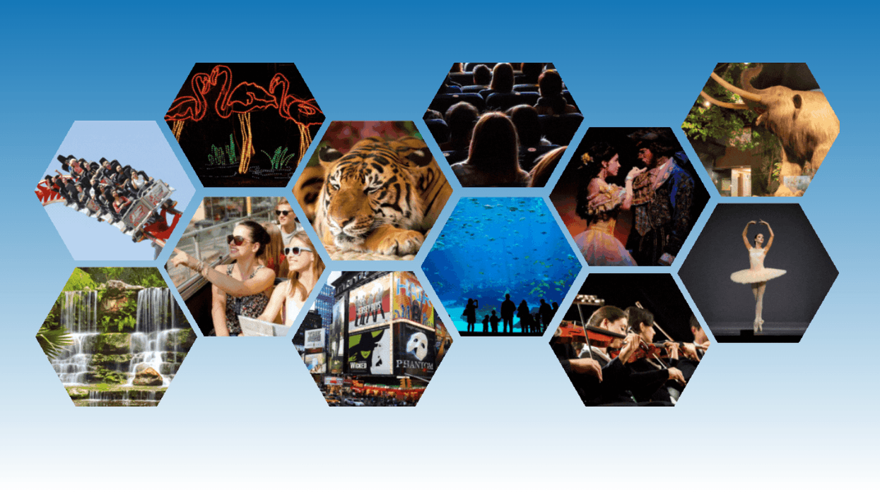 Hexagonal collage of diverse activities: nature, wildlife, performing arts, and entertainment.