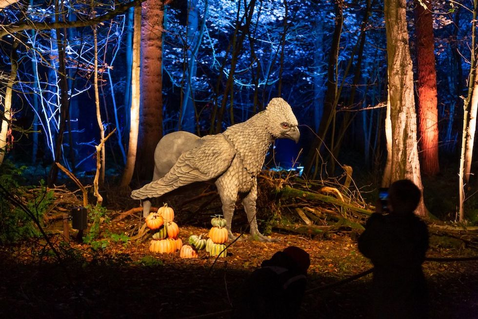 Hippogriff HP light trail