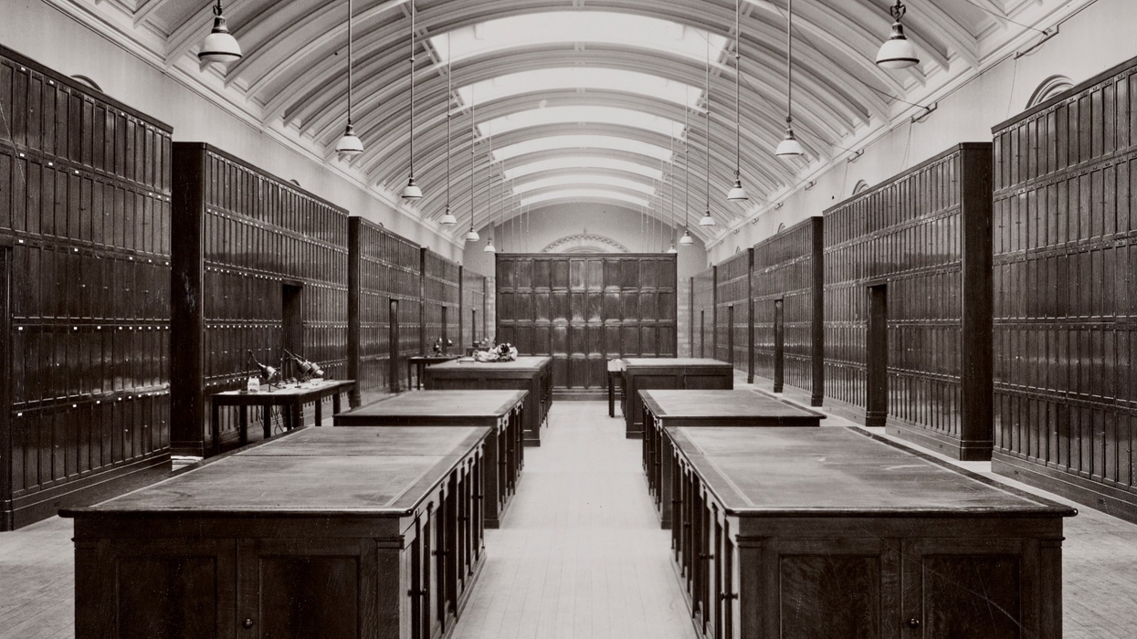 Historic library interior with high ceiling, long tables, and wooden bookshelves at the Natural History Museum