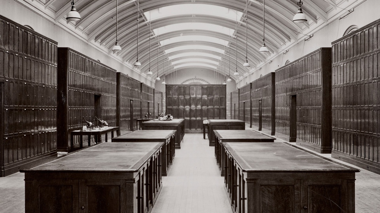 Historic library interior with high ceiling, long tables, and wooden bookshelves at the Natural History Museum