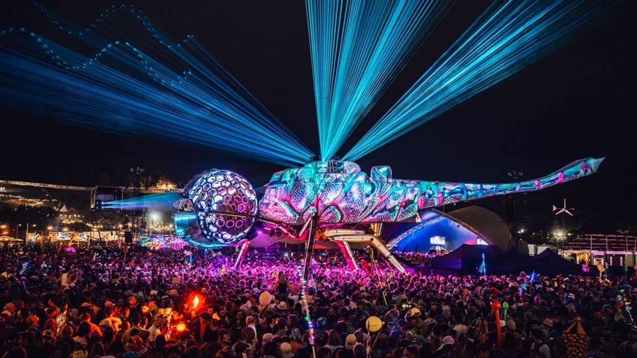 Hive Arcadia Dragonfly Photography by Chris Cooper/ ShotAway/