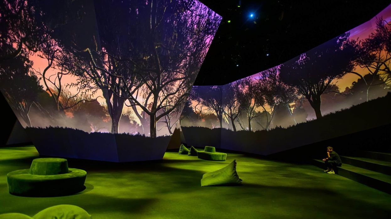 Hive at BBC earth melbourne