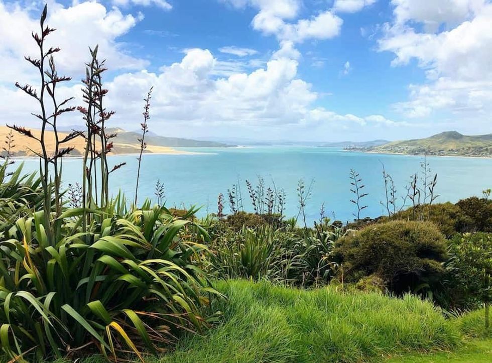 Hokianga Harbour view