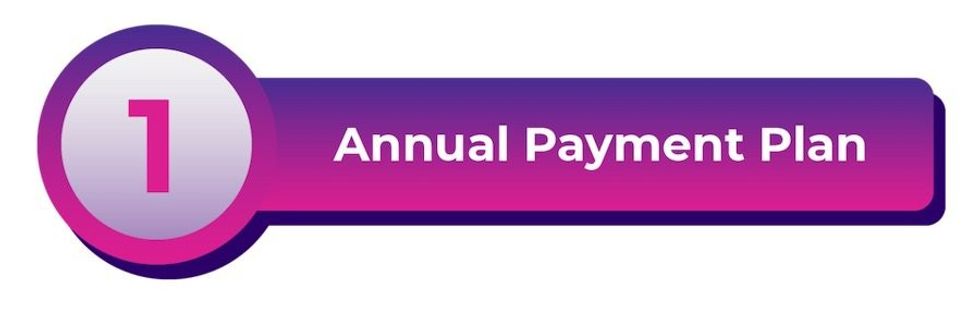 HOLOGATE annual payment plan