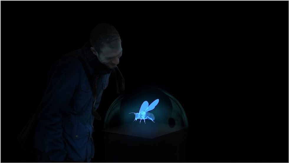 Holographic display bees exhibition