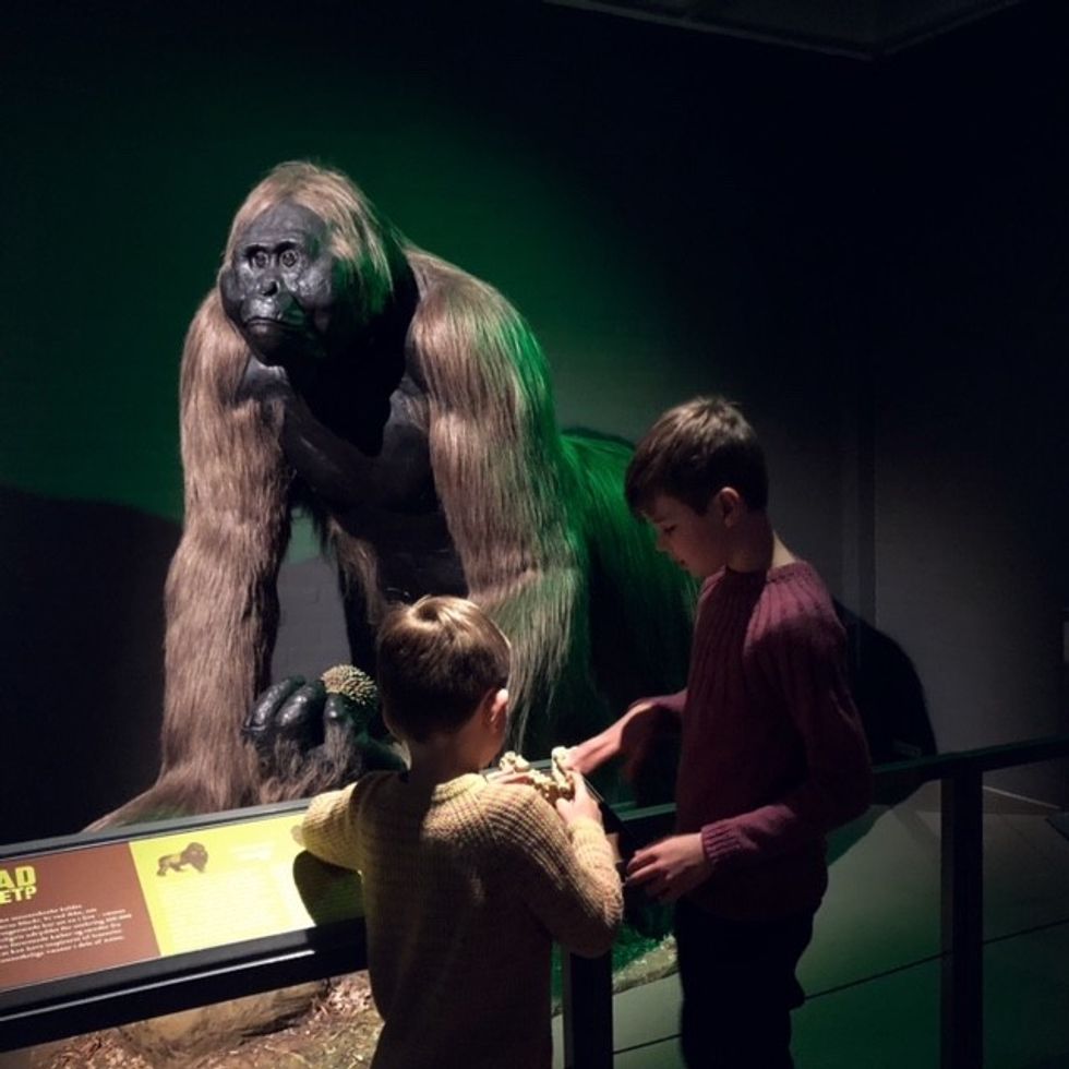 Holstebro Museum Mythic Creatures AMNH