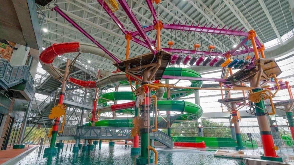 HometeamNS Pico Play