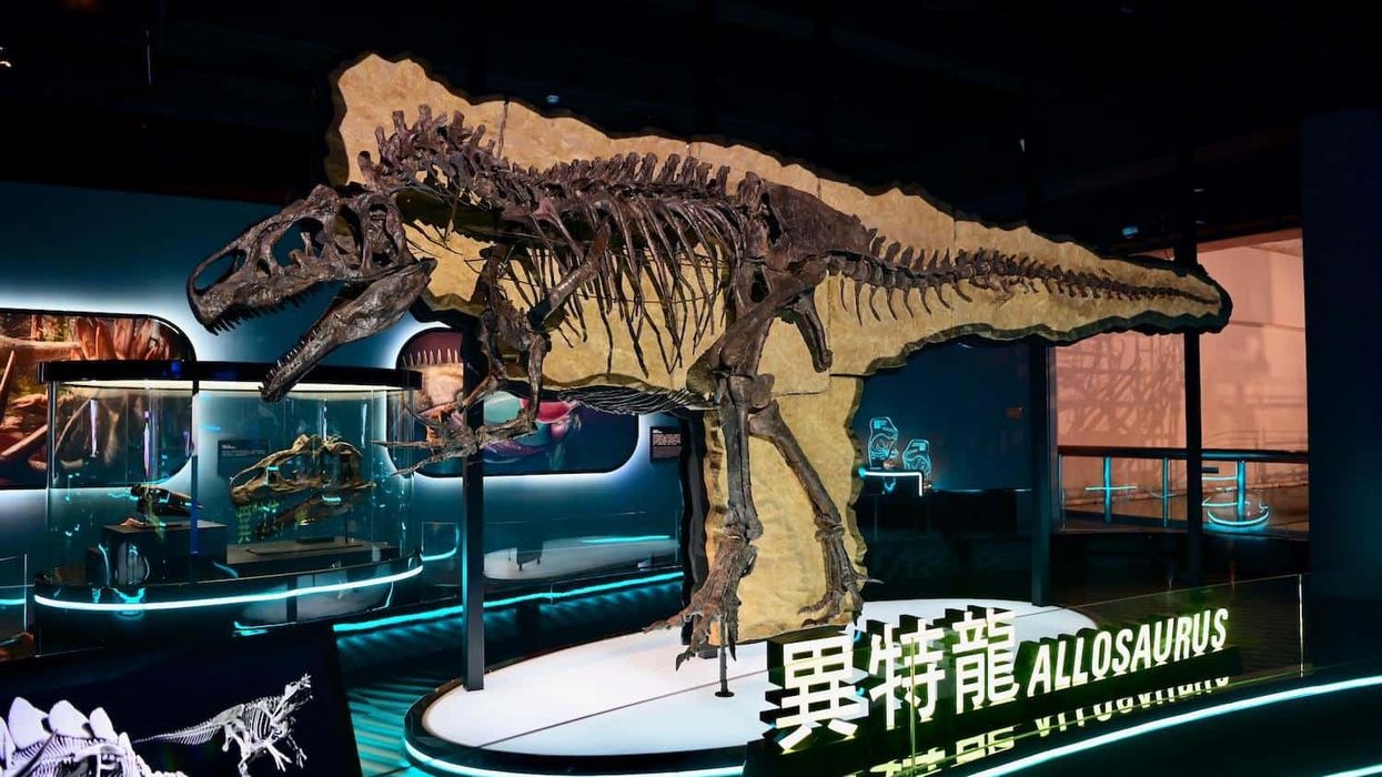 hong kong science museum dinosaurs