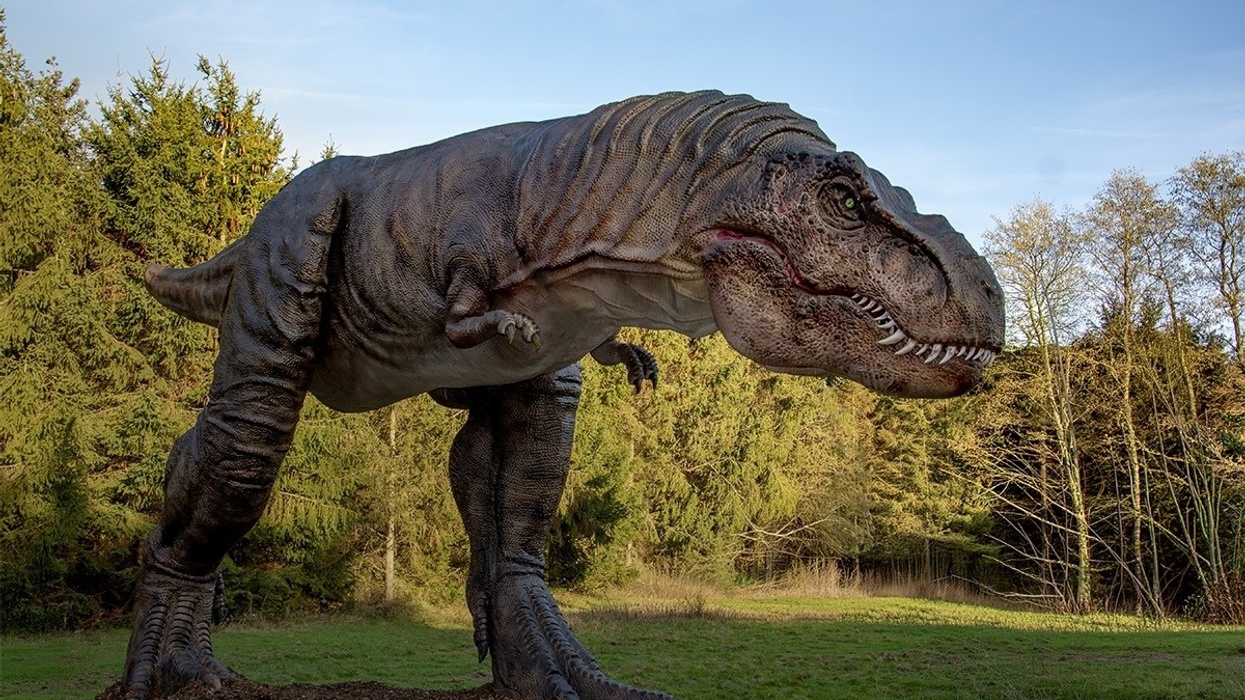 hoo zoo dinosaur animatronic