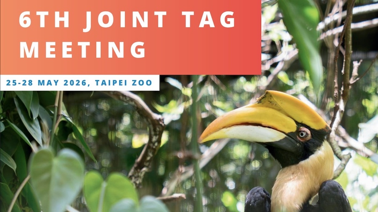 Hornbill beside "6th Joint TAG Meeting, 25-28 May 2026, Taipei Zoo" text.