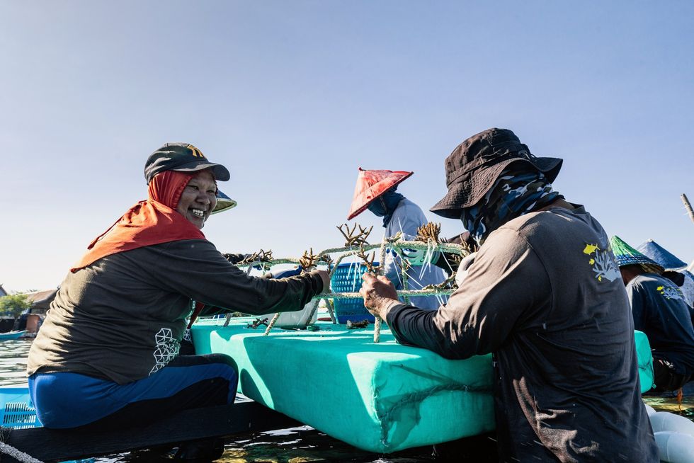 horniman mars coral project