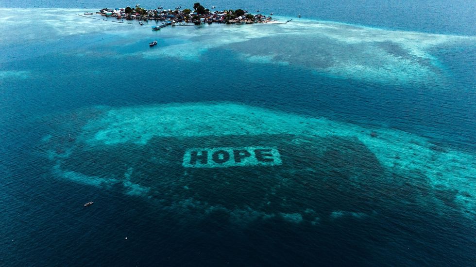 horniman mars coral project