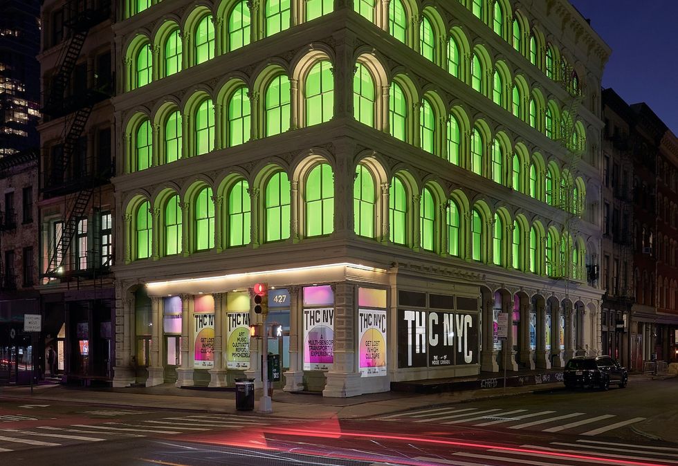 house of cannabis new york