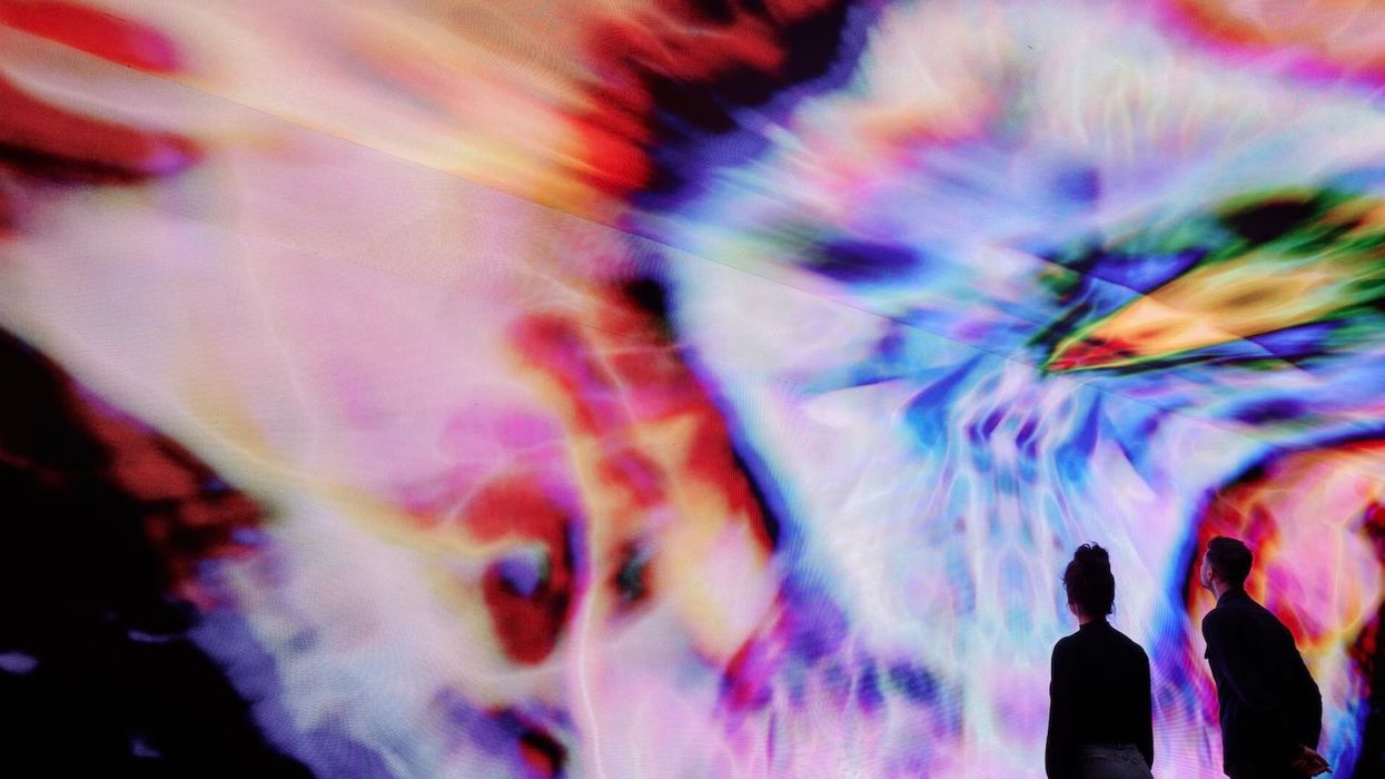 house of cannabis new york