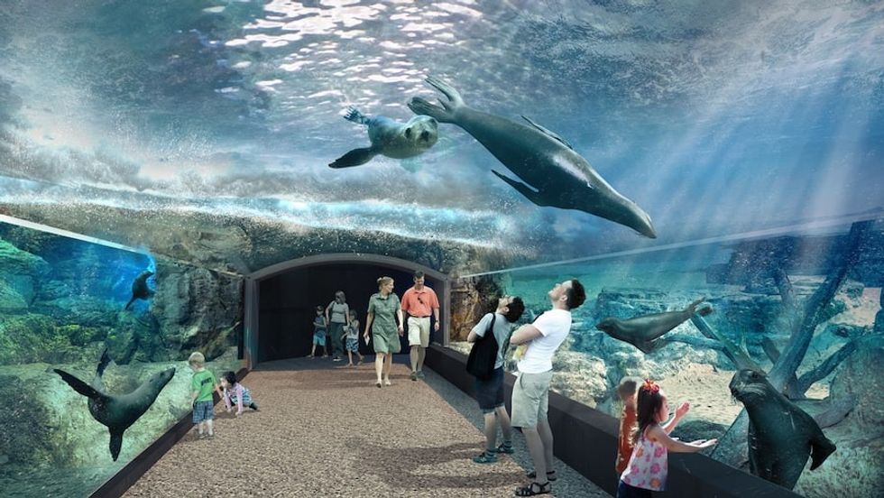 Houston Zoo_Tunnel_Update