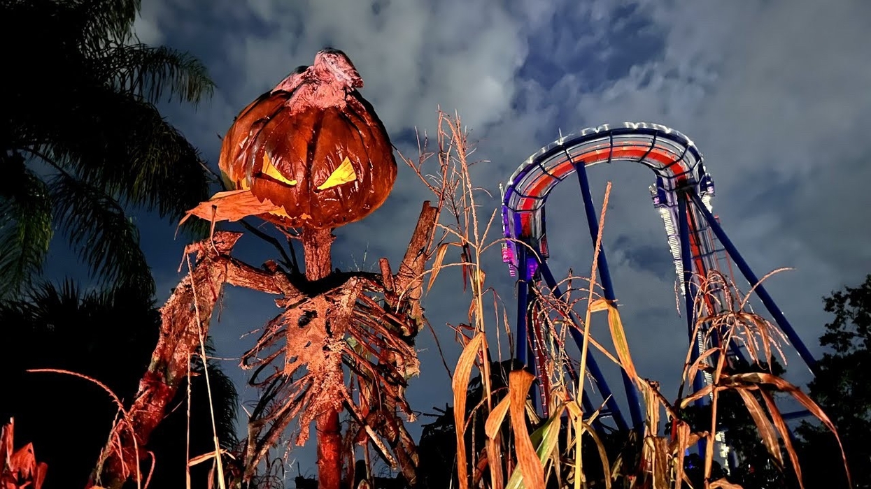 howl o scream busch gardens tampa