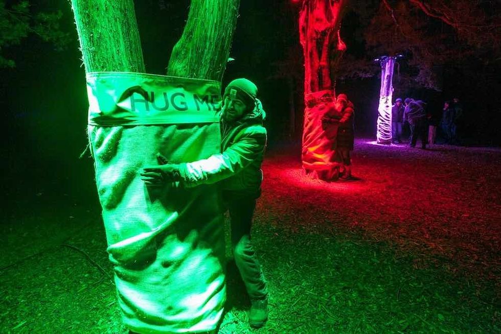 hugging a tree morton arboretum