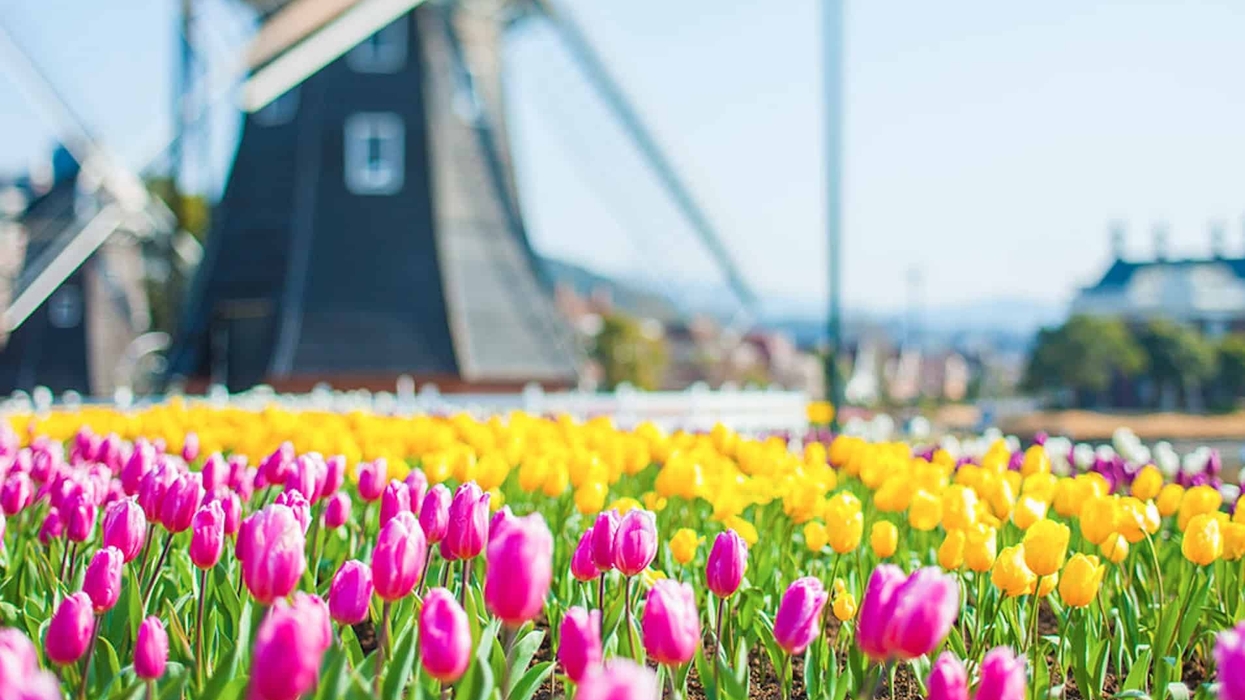 huis ten bosch
