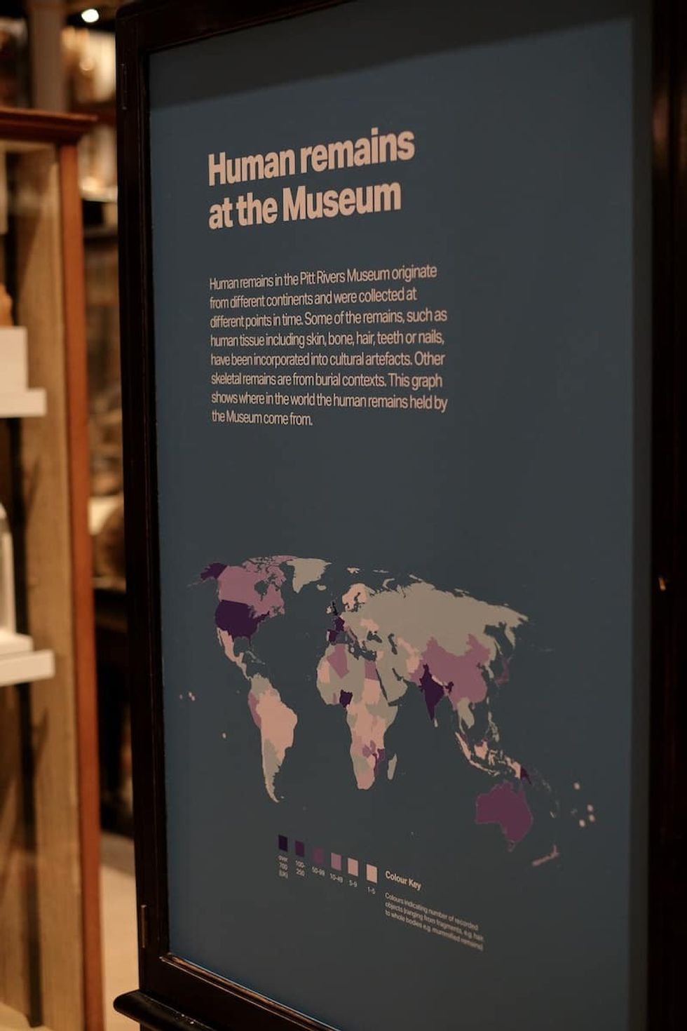 human remains at Pitt Rivers Dan Hicks