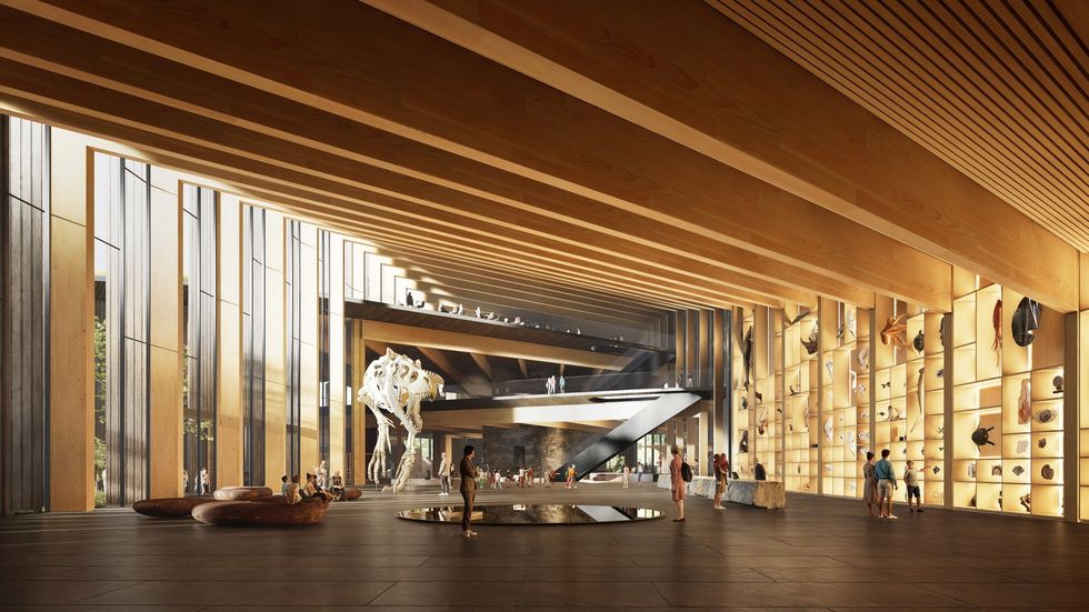 hungarian natural history museum