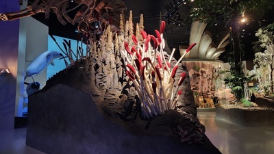 Hydrothermal: Ground form fabrication by ADKSME. Baby whale was 3D printed by ADKS ME and aged by Wētā Workshop. Foliage fabrication by Volumetric.