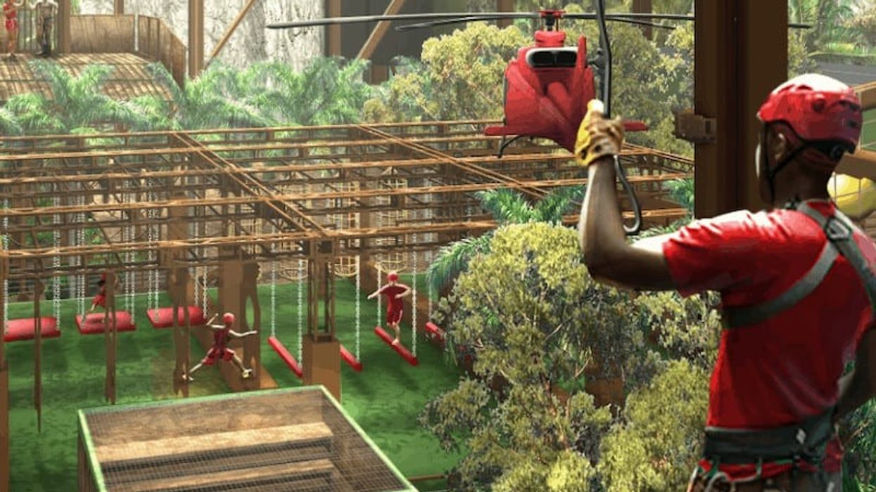 I'm a Celebrity jungle challenge