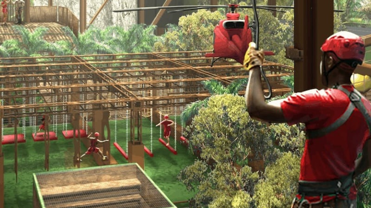 I'm a Celebrity jungle challenge