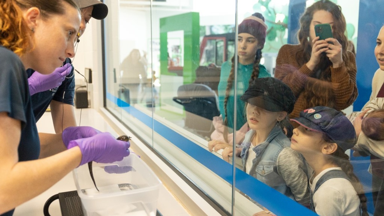 IAAPA shares key trends for summer Virginia Aquarium