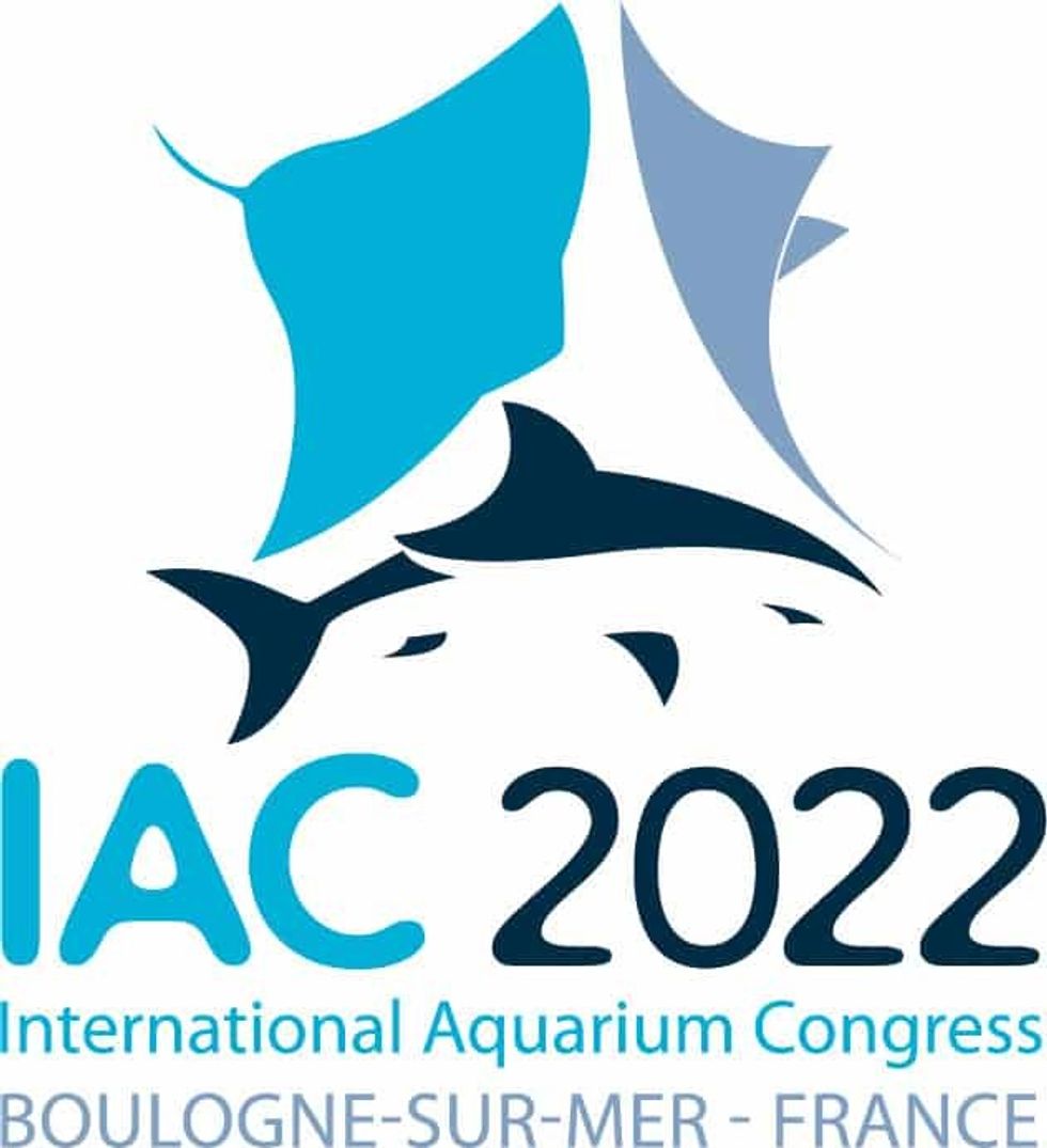 IAC-2022